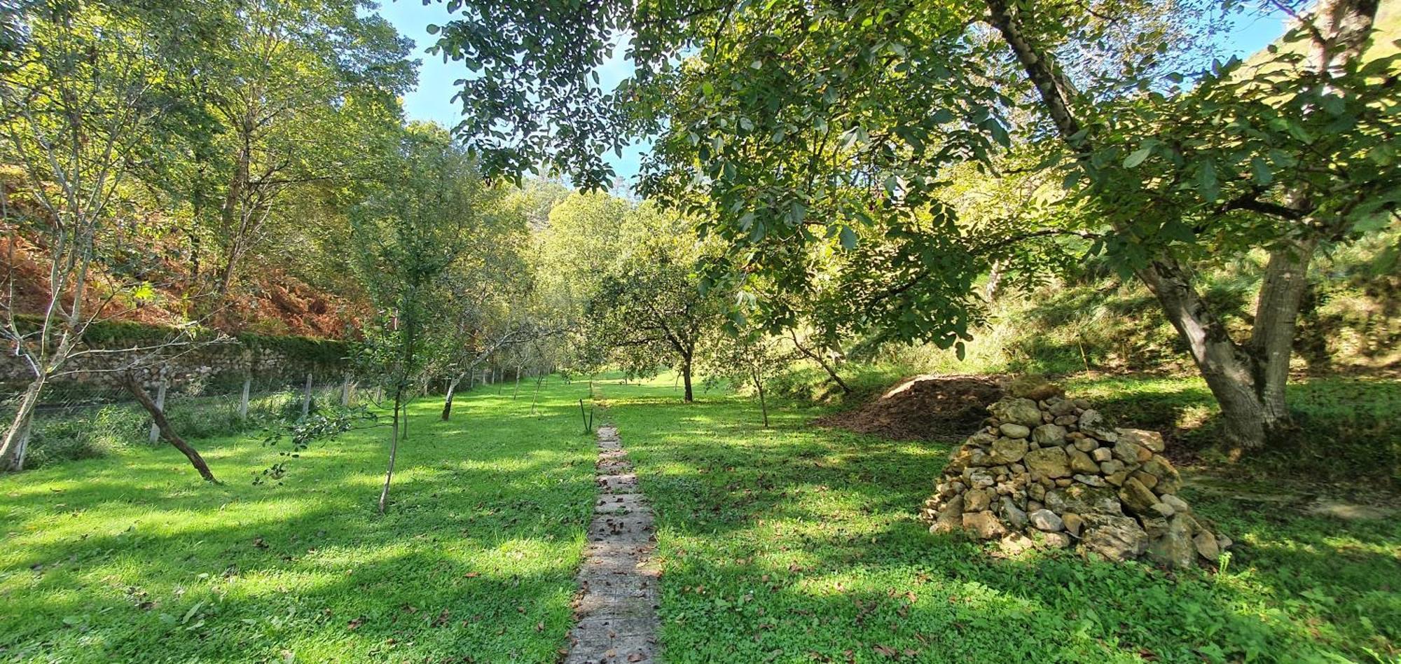 La Casona De La Vega Junto A Onís Kültér fotó